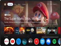 Google TV 4.39.3094 for Android screenshots