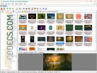 XnView 2.52.2 / XnView MP 1.9.3 screenshots