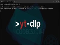 yt-dlp 2025.03.31 / 2025.04.29 nightly screenshots