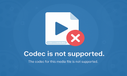 Screenshot of how-to-fix-codec-is-not-supported.htm