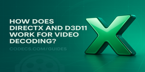 How Does DirectX and D3D11 for Video Decoding Work? Screenshot